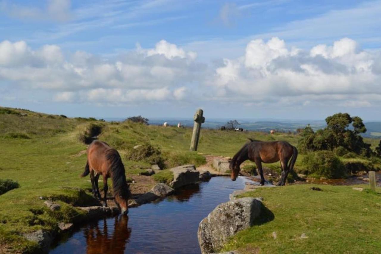 Apartmán Morwenna Dawlish Exteriér fotografie